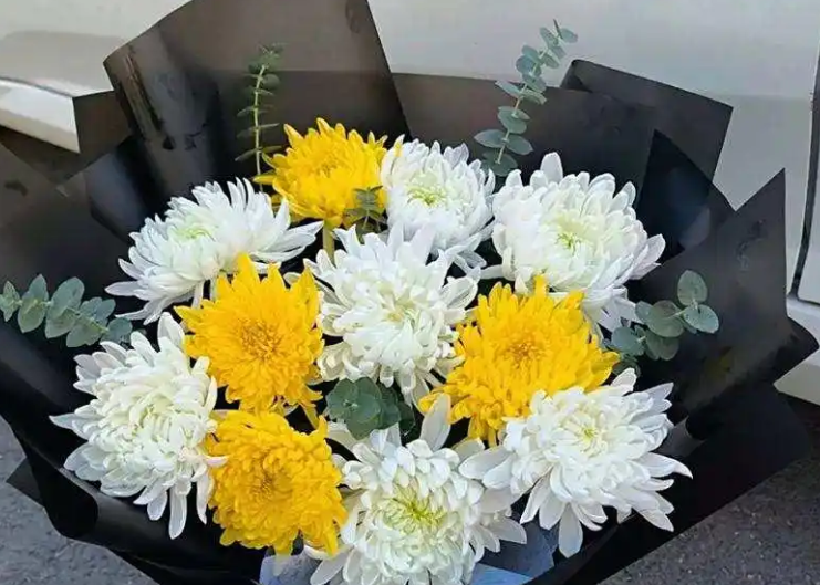 老人去世落叶归根 尸体转运专用车